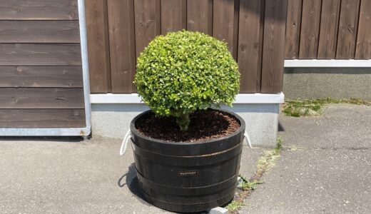 ウイスキー樽プランター